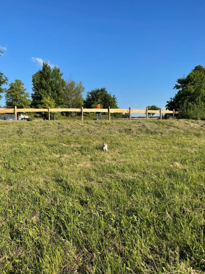 Naturnahes, Neu Moebl.Apartment, Hundefreundlich Neu Gaarz 外观 照片