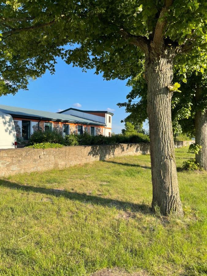 Naturnahes, Neu Moebl.Apartment, Hundefreundlich Neu Gaarz 外观 照片